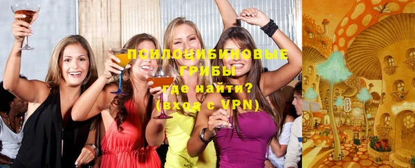 тгк Аркадак