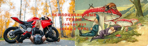 тгк Аркадак