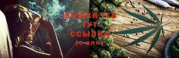 тгк Аркадак