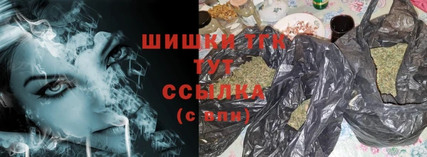 тгк Аркадак