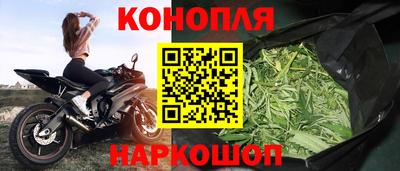 мяу мяу мука Новодвинск