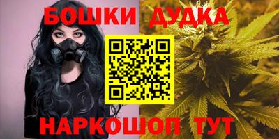 молекула духа Новозыбков