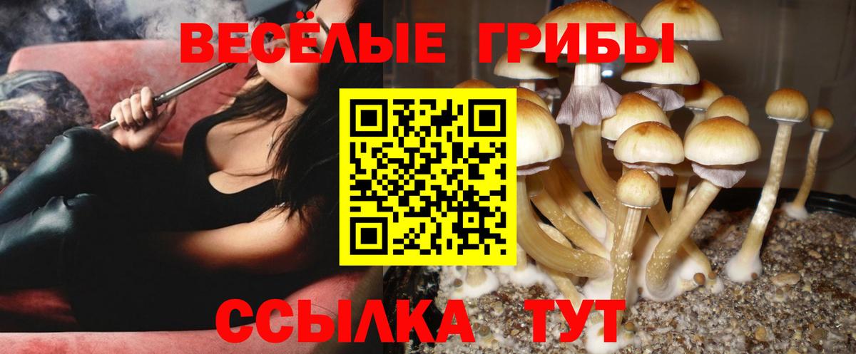 Спасск-Дальний  Галлюциногенные грибы Magic Shrooms  Вход с VPN 