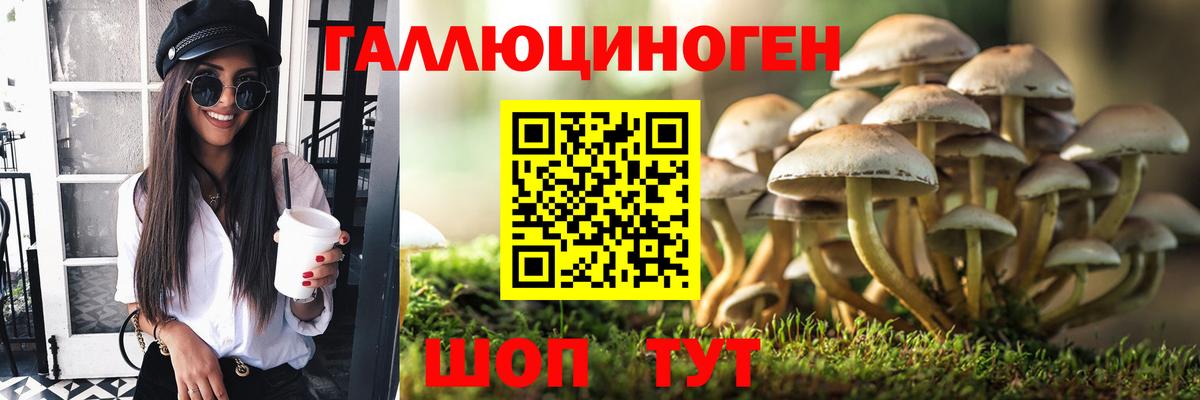 Псилоцибиновые грибы Psilocybine cubensis Спасск-Дальний